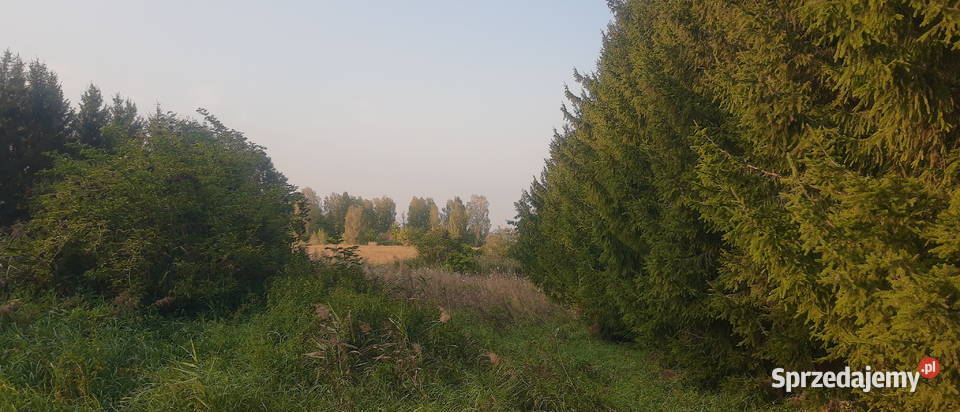 Mazury jeziorem warunki zabudowy Kruklin sprzedam