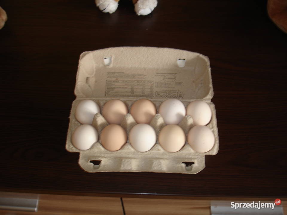 Jajka kurze mazowieckie Iłża sprzedam