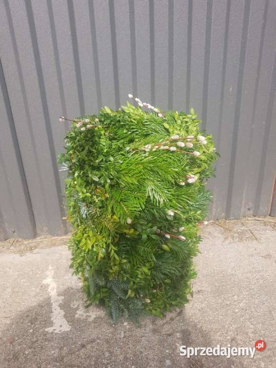 wianki Żywe Mrozy sprzedam
