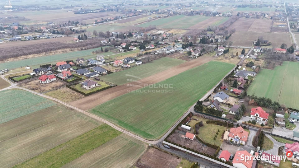 Duża działka w Wólce Panieńskiej Sprzedaż Wólka Panieńska