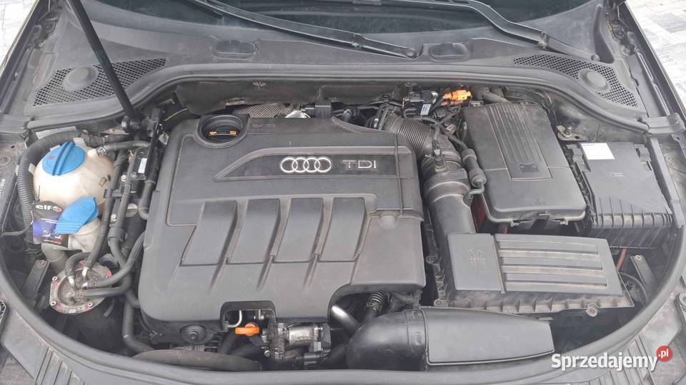 Audi A3 8p lift 20 Tdi Cr nieuszkodzony mazowieckie Radom