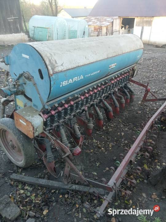 Siewnik isaria Iłowiec