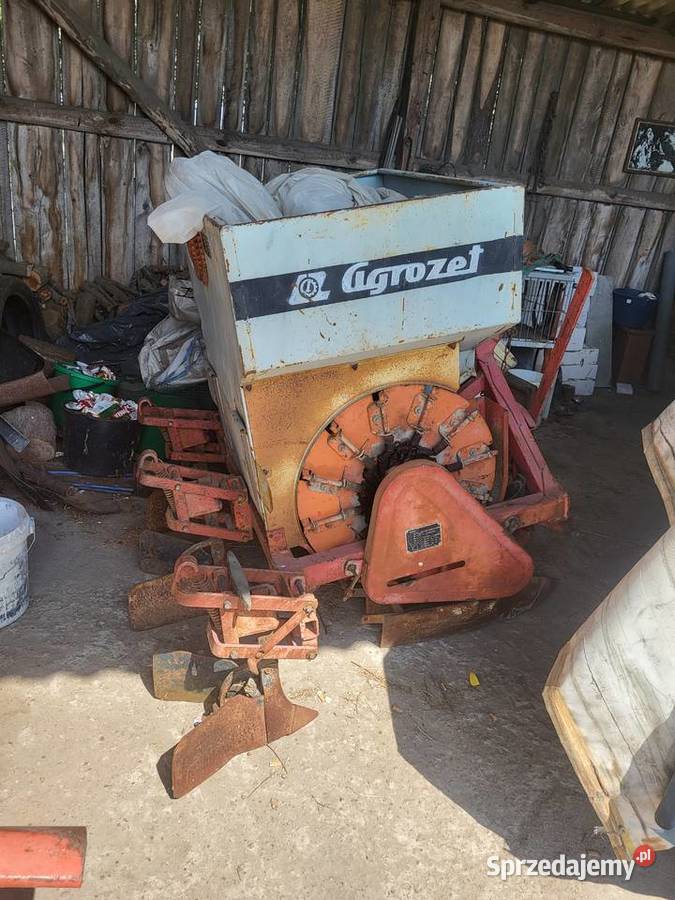 Sadzarka do ziemniaków Kazanów