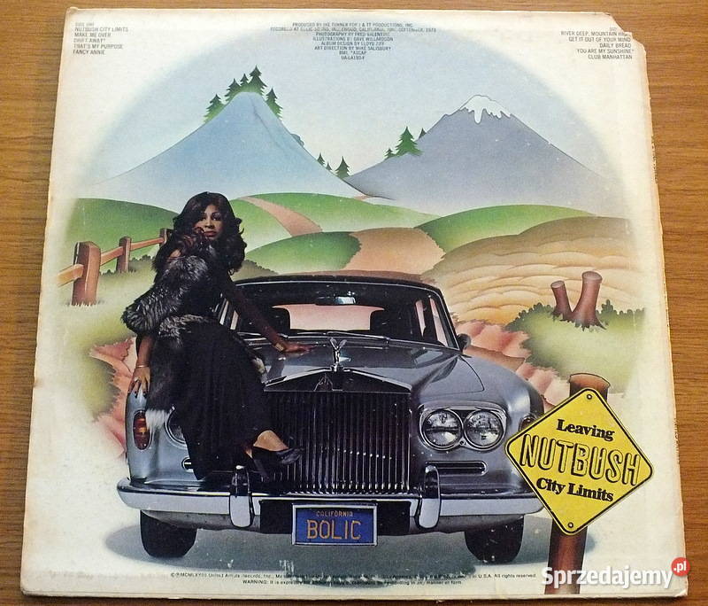 Płyta winylowa IKE TINA TURNER NUTBUSH CITY Olsztyn sprzedam