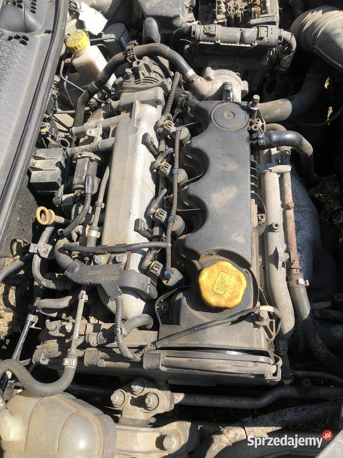 Bravo 19 Multijet z wygranym softem na ok 150160 manualna Dąbrowa Górnicza