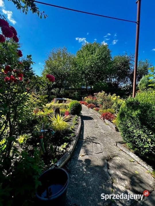 Ogrodek Dzialkowy ROD Jutrzenka 387m2 Gliwice