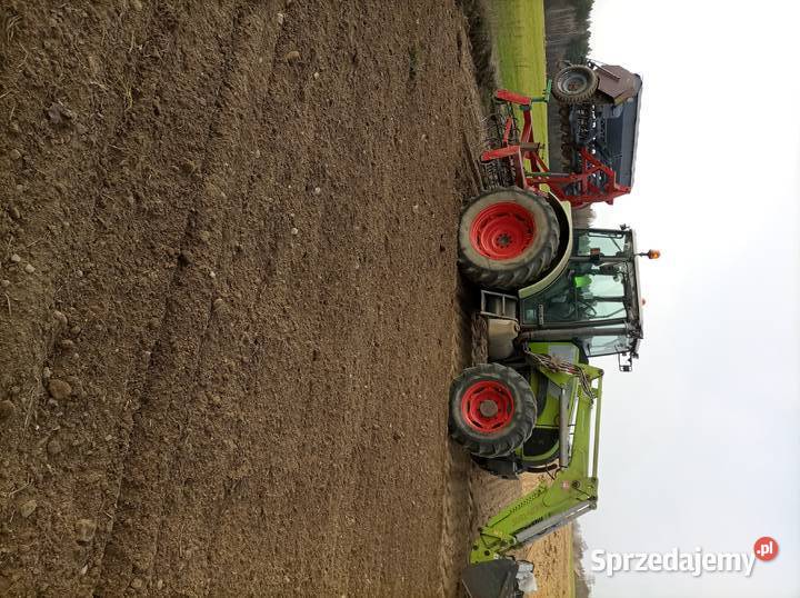 Sprzedam Claas celtis