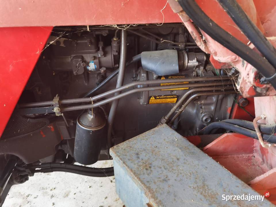 Massey Ferguson 373S Massey Ferguson Strzeszyce