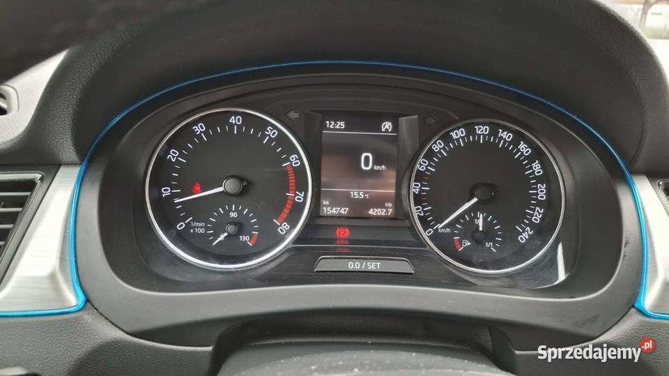Skoda Rapid Ambition Hatchback Chlebowo