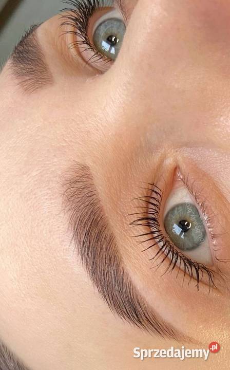 Laminacja brwirzęs Chorzów