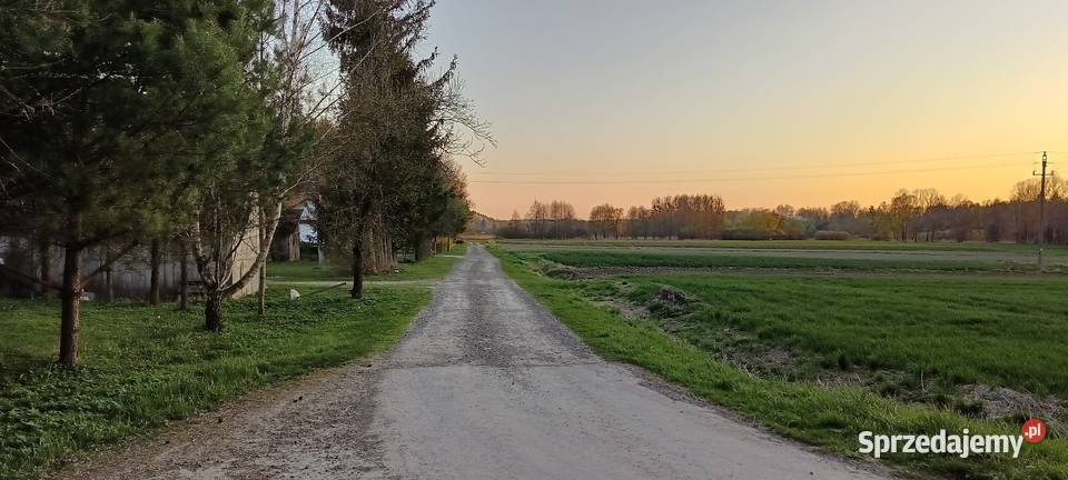 Siedlisko Skomorochy Duże sprzedam