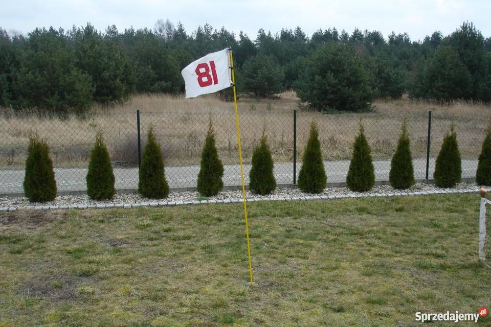 Dołki golfowe i maszty