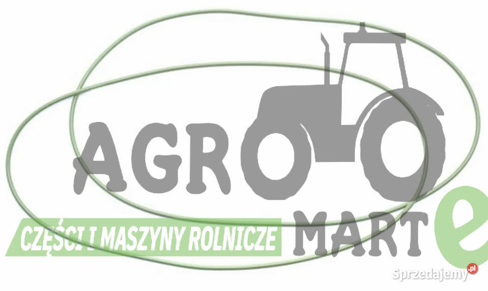 L56243 L39803 ORING USZCZELNIACZ MAŁY JD Wichrów