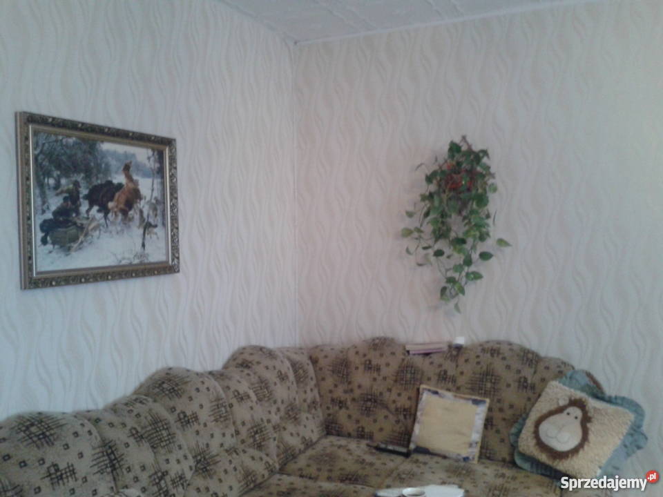 Sprzedam mieszkanie w Pakości Pakość