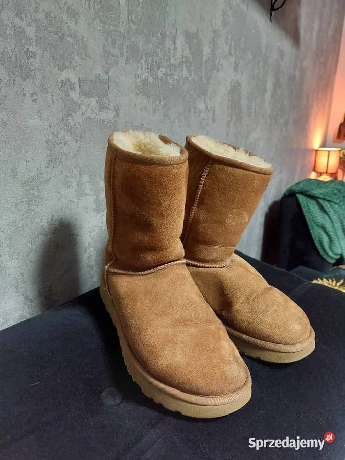 Sniegowce ugg classic short ll Kozaki Grudziądz sprzedam