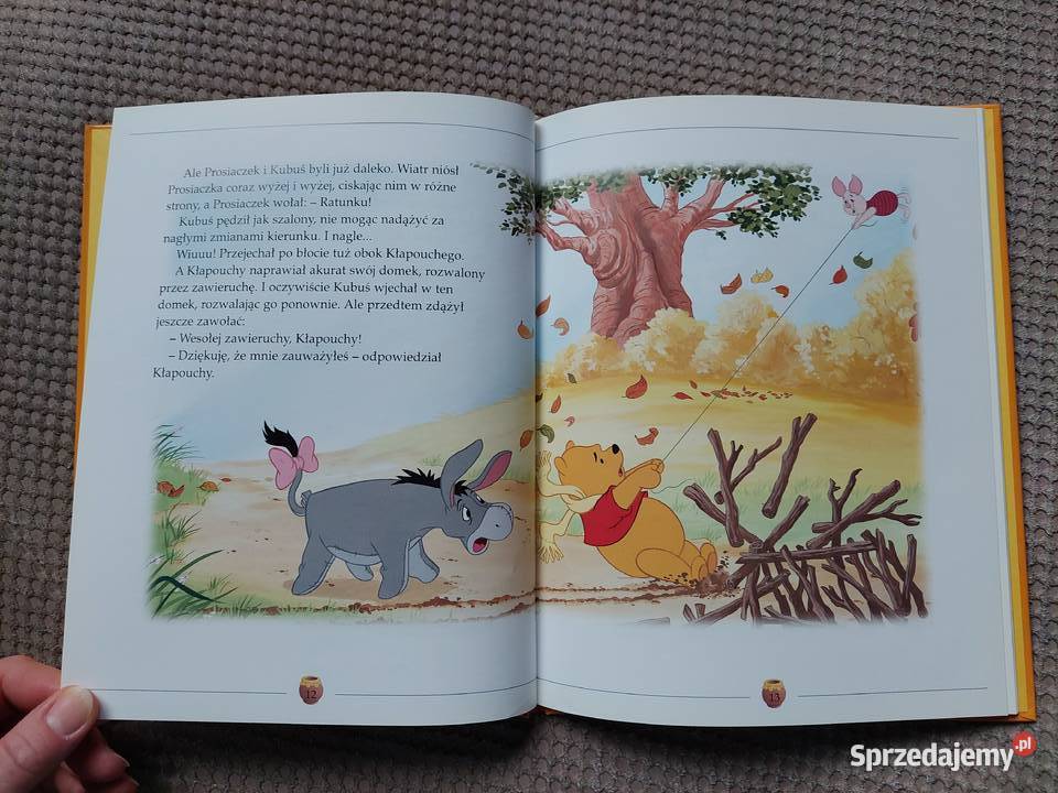 Zwariowana zawierucha Przygody Kubusia Puchatka Kultura i Rozrywka Kraków