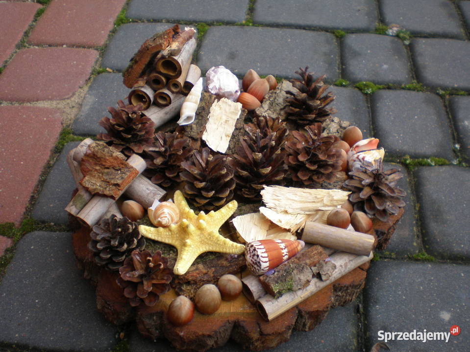 ozdobadekoracja na plastrze dębu Siedlce