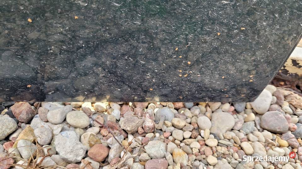 Drzwi Opel Astra G Łagów