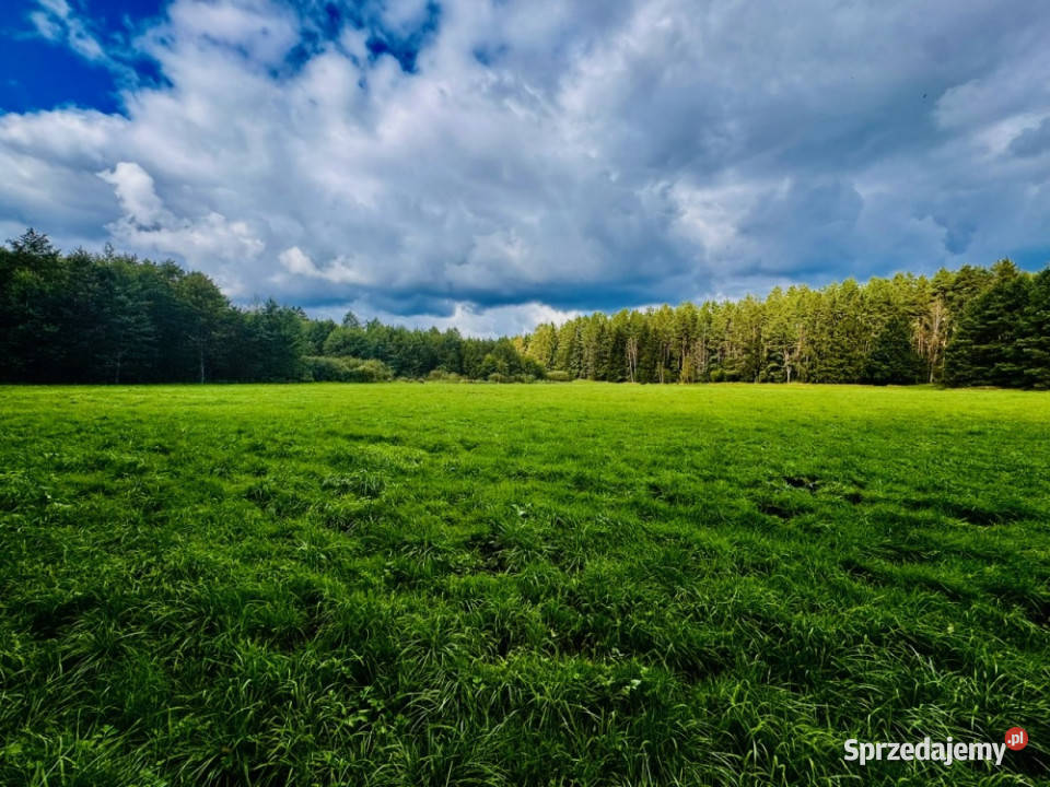 Wyjątkowa działka 242 ha wśród zieleni Cisza Sprzedaż Nitki sprzedam