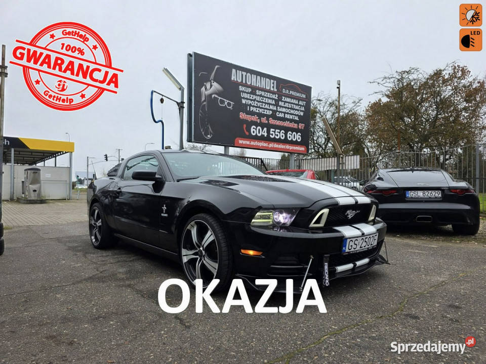 Ford Mustang 37 Benzyna V6 305 Manual Led Xenon wspomaganie kierownicy Słupsk