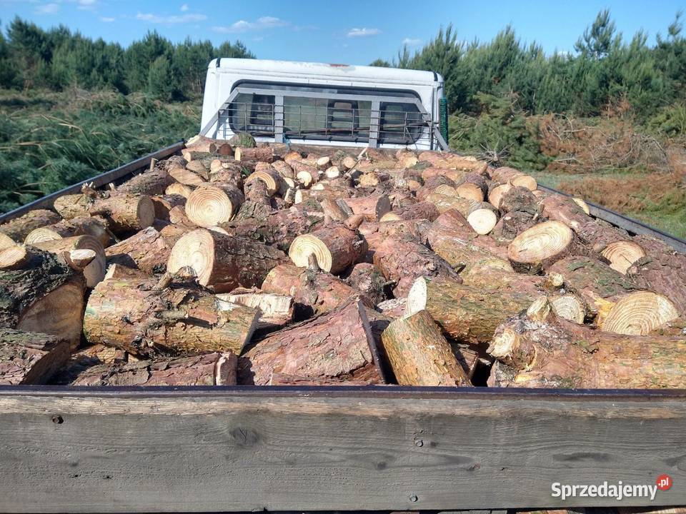 Drewno kominkowe kontakt 535197837 Sulechów