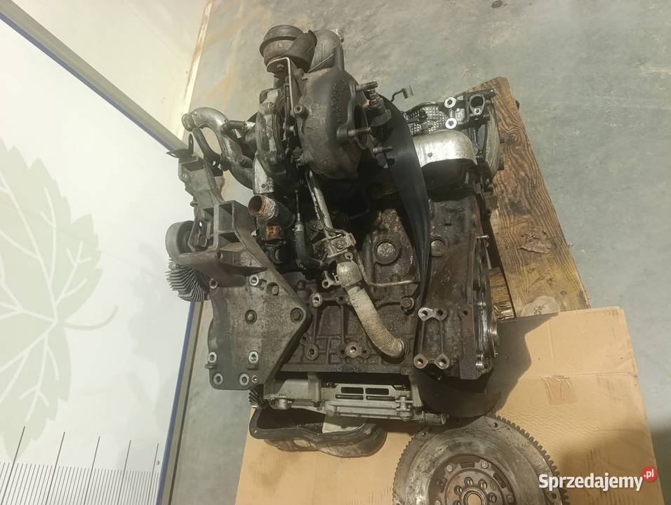 Silnik kompletny Nissan Pathfinder R51 Navara Końskowola