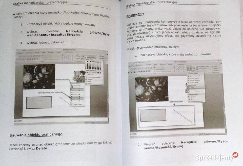 ECDL Core 7 modułów Redaktor Robert Panas Pozostałe Chełm sprzedam