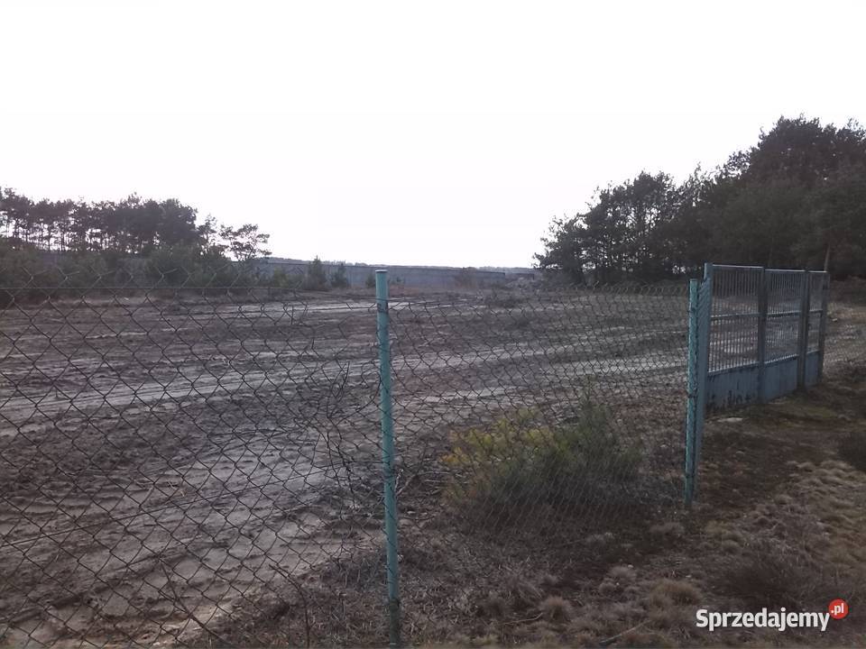 Wynajmę działkę 3800m2 Borowa