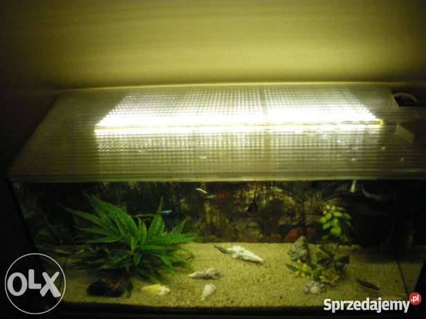 akwarium 70l komplet okazja