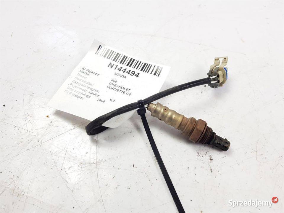 SONDA CHEVROLET CORVETTE C6 12611165 Lipno sprzedam