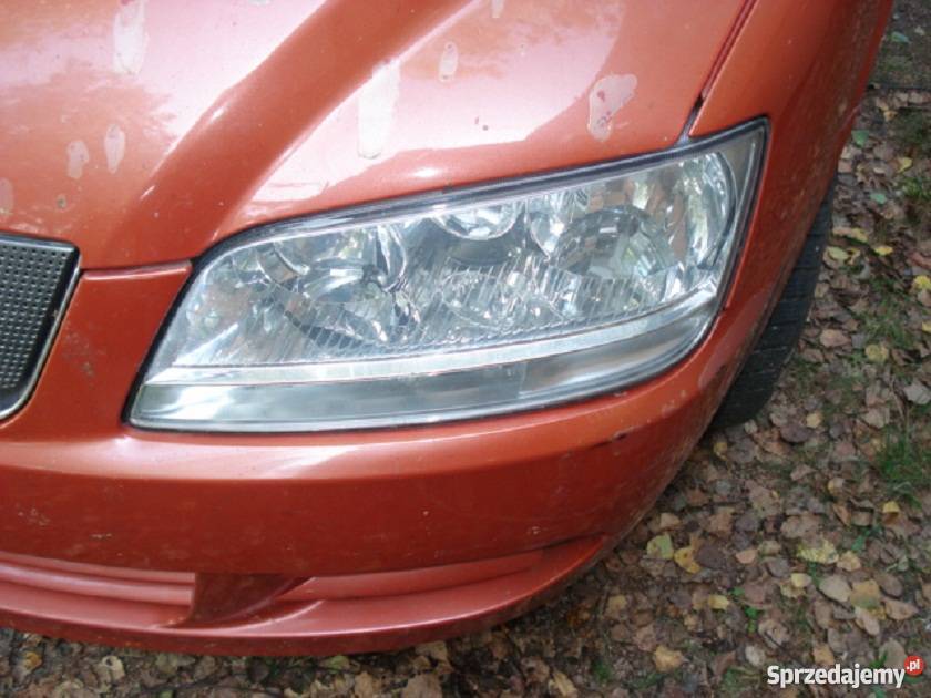 multipla 2 drzwi lewe przednie Myszków