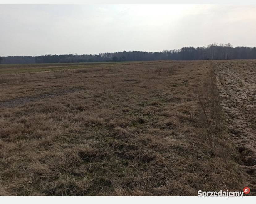 Działka ponad 3000 metrów 20 min Radomia Sprzedaż Słupica