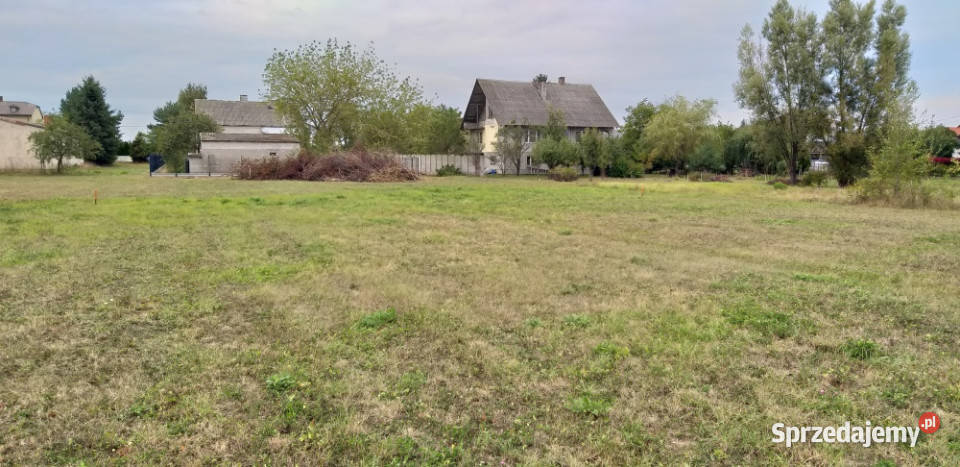 działka budowlana pod Warszawą 30 PKiN Sprzedaż Małocice sprzedam