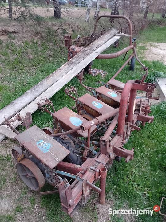 Siewnik do buraków Kosina