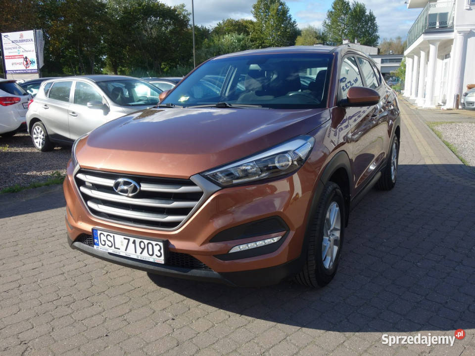 Hyundai Tucson ZAREJESTROWANY III 20152020 nieuszkodzony Tucson