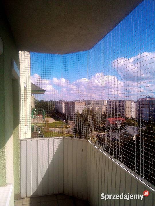 Siatka na balkon przeciw ptakom z montażem Warszawa usługi dla zwierząt