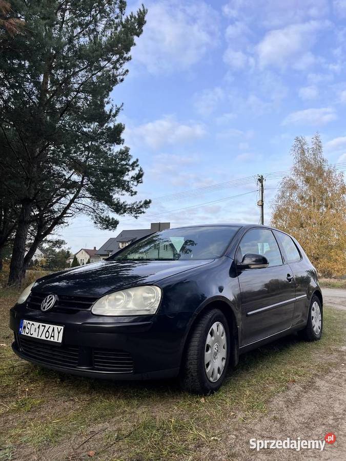 Volkswagen Golf V 19 TDI Blue Motion 2005 Sochaczew