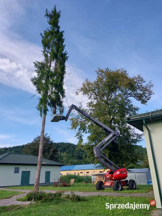 Wycinka ścinka drzew czyszczenie działek usługi