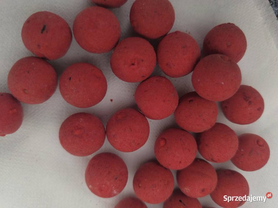 Kulki Pływające Lorpio Carp Program 20mm Białystok