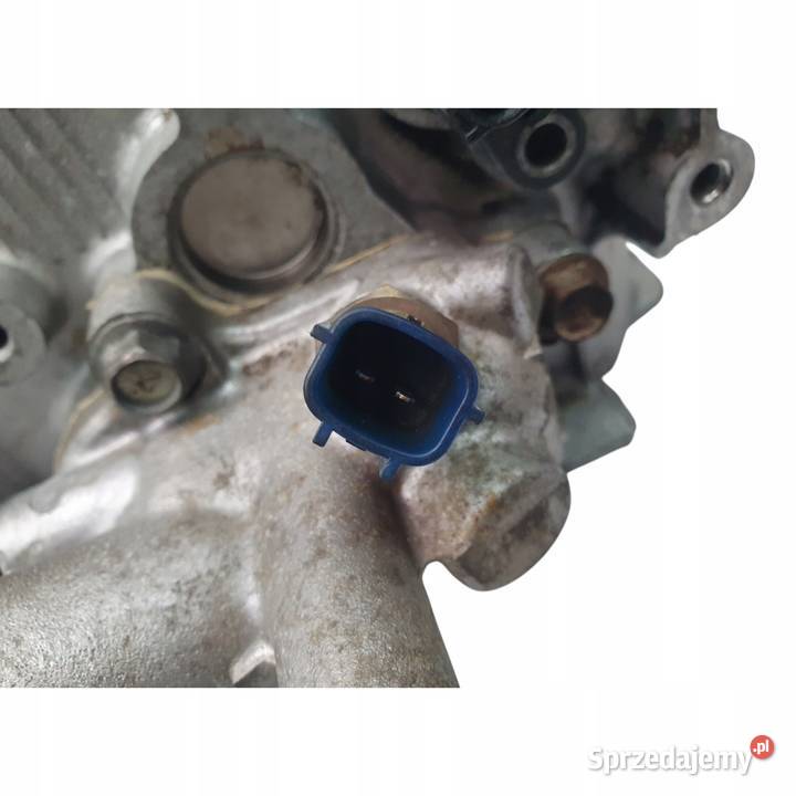 GŁOWICA CYLINDRÓW Nissan Primera P12 XTrail T30 osobowe Chełm