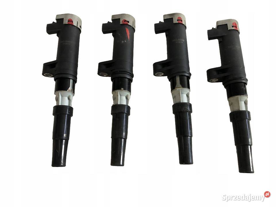 Renault Grand Scenic II 05r 20 16v 135 4x Cewka