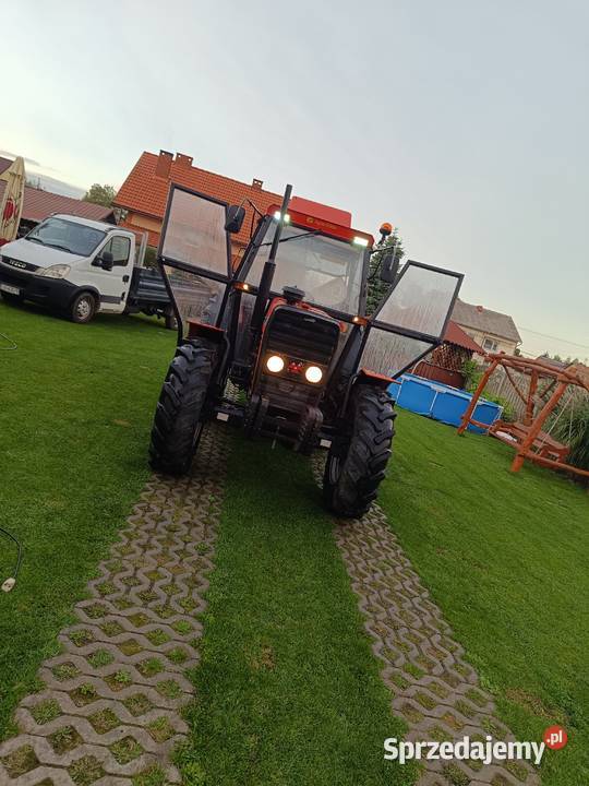 Ursus5314