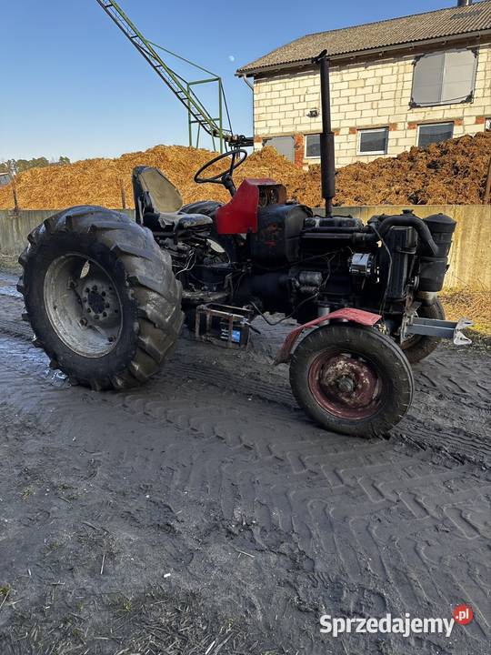 Zetor major 3011 Brodnica