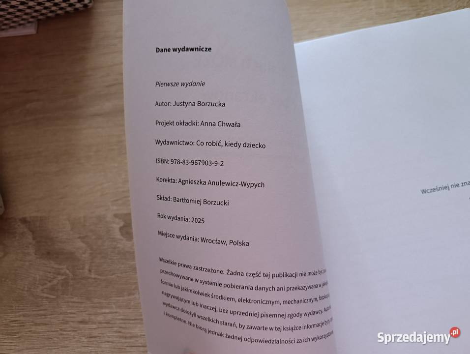 Twój maluch MOŻE żyć bez ekranów Justyna Kwidzyn
