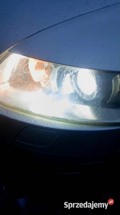 AUDI A6 C6 20TDI BOGATE WYPOSAŻENIE SKÓRY HAK Rok produkcji 2007 sprzedam