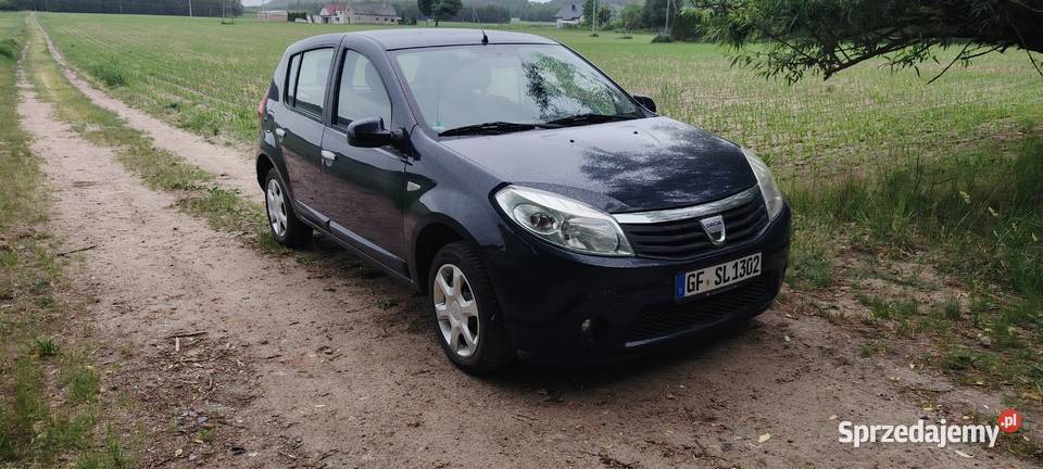 Dacia Sandero Zakurzewo