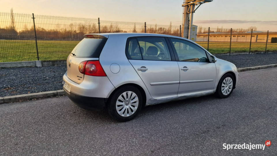 Volkswagen Golf 20 TDI 140 2004 Klima Elektryka srebrny łódzkie Pabianice sprzedam