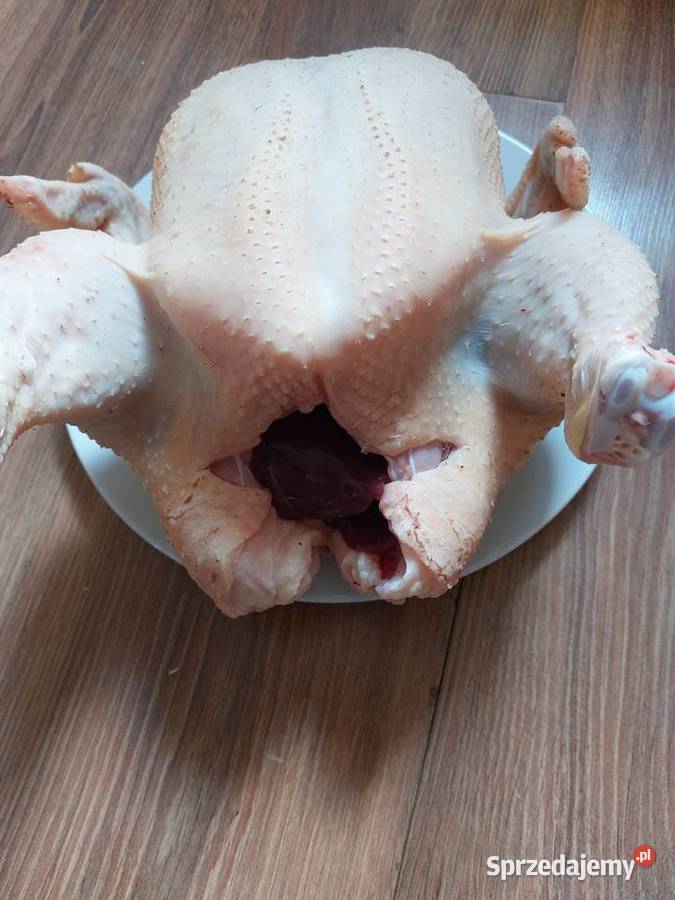 Sprzedam kurczaki brojlery Złotków