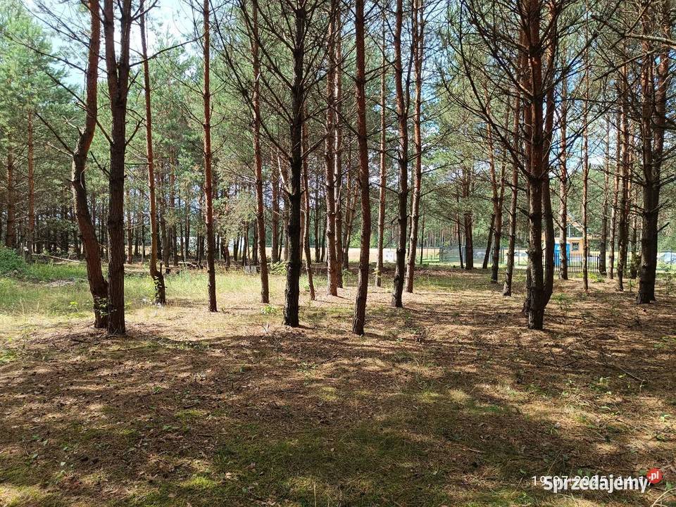 Działka 1500 m2 Mierzwice Mierzwice-Kolonia