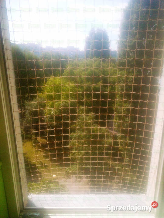 Siatka kota na okno montaż BEZINWAZYJNY Warszawa